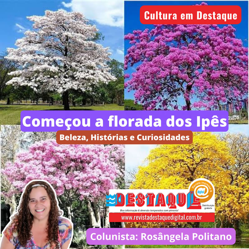 Começou a florada dos Ipês