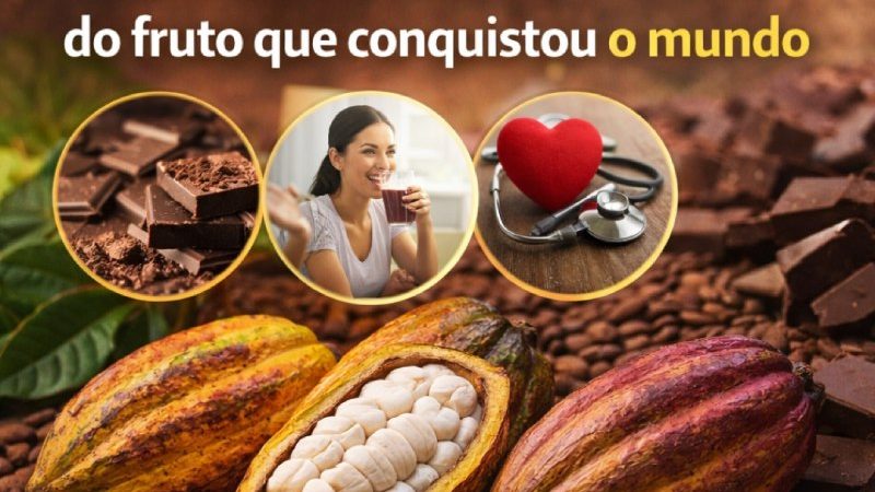 Dia do Cacau celebra sabor, saúde e tradição do fruto que conquistou o mundo
