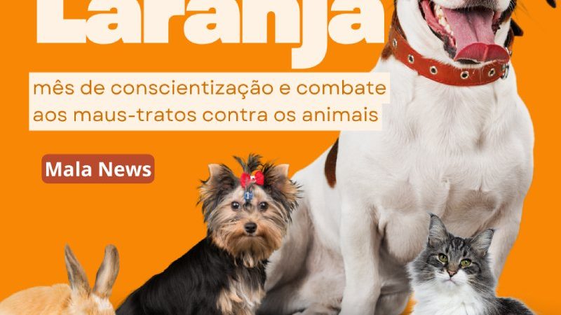 ABRIL LARANJA: mês de conscientização e combate aos maus-tratos contra os animais
