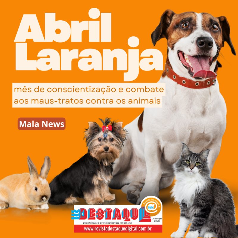 ABRIL LARANJA: mês de conscientização e combate aos maus-tratos contra os animais