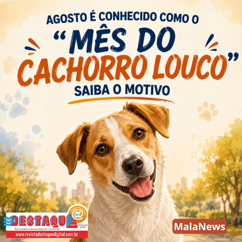 Agosto é conhecido como o “mês do cachorro louco” saiba o motivo