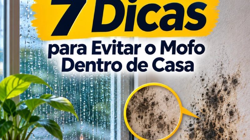 CHUVAS e UMIDADE: 7 dicas para evitar o MOFO dentro de casa