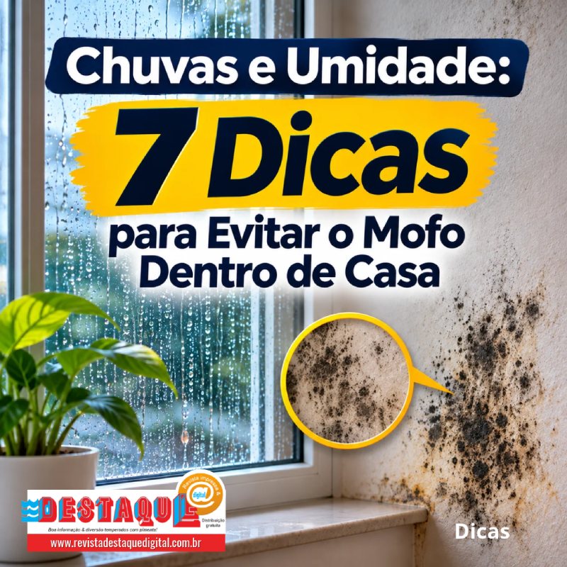 CHUVAS e UMIDADE: 7 dicas para evitar o MOFO dentro de casa